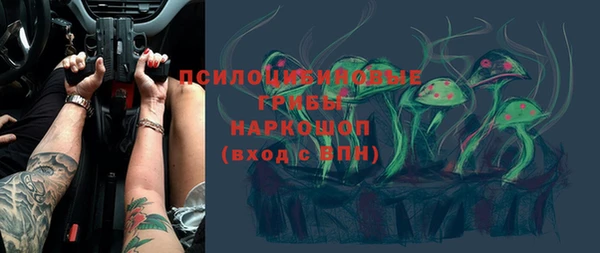 шишки Нефтекумск