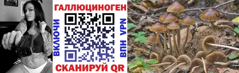 Галлюциногенные грибы мицелий  Калининец 
